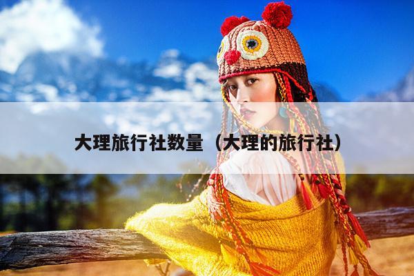 大理旅行社数量（大理的旅行社）