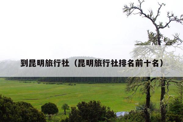 到昆明旅行社（昆明旅行社排名前十名）