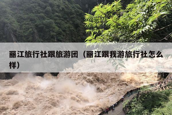 丽江旅行社跟旅游团（丽江跟我游旅行社怎么样）