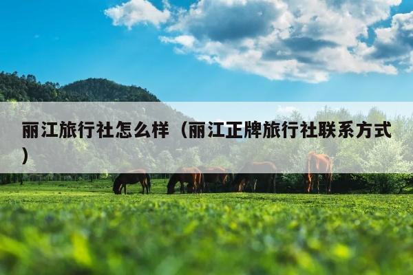 丽江旅行社怎么样（丽江正牌旅行社联系方式）