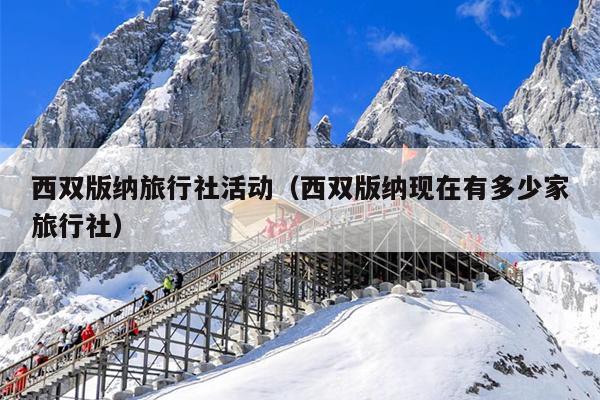 西双版纳旅行社活动（西双版纳现在有多少家旅行社）