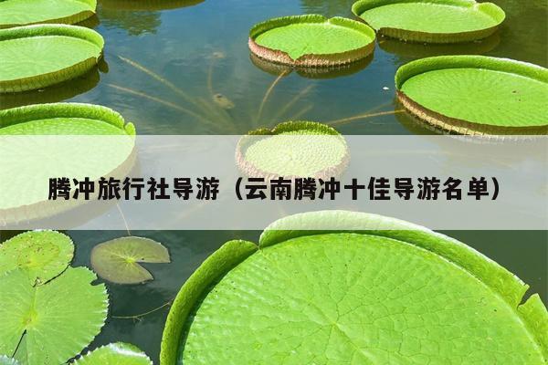 腾冲旅行社导游（云南腾冲十佳导游名单）