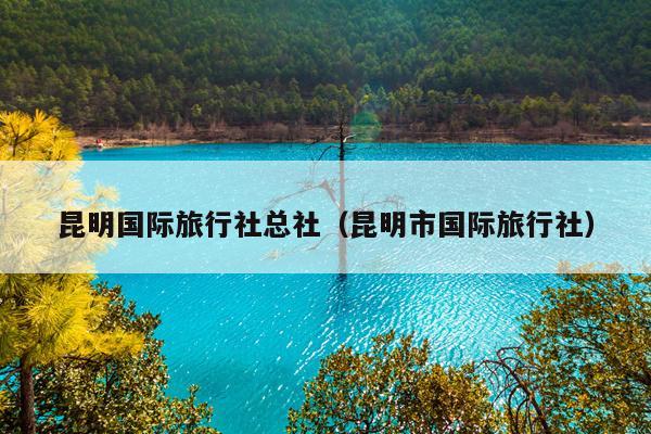昆明国际旅行社总社（昆明市国际旅行社）