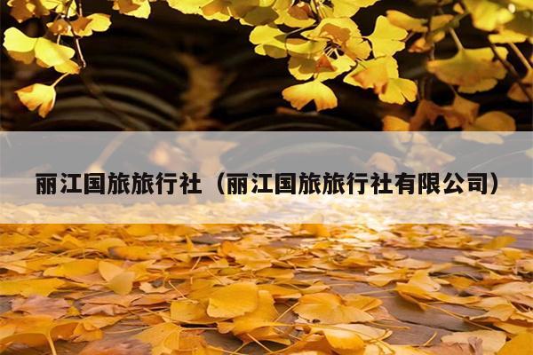 丽江国旅旅行社（丽江国旅旅行社有限公司）