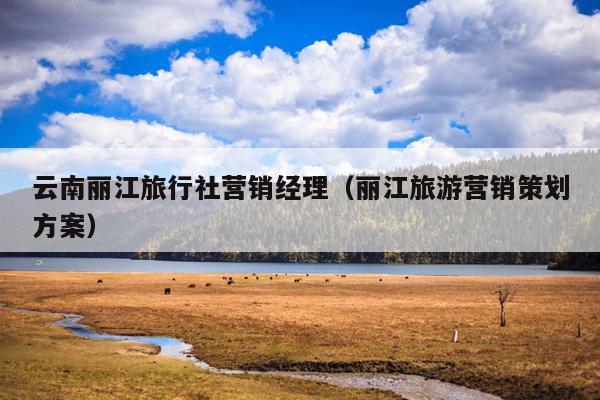 云南丽江旅行社营销经理（丽江旅游营销策划方案）