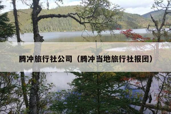 腾冲旅行社公司（腾冲当地旅行社报团）