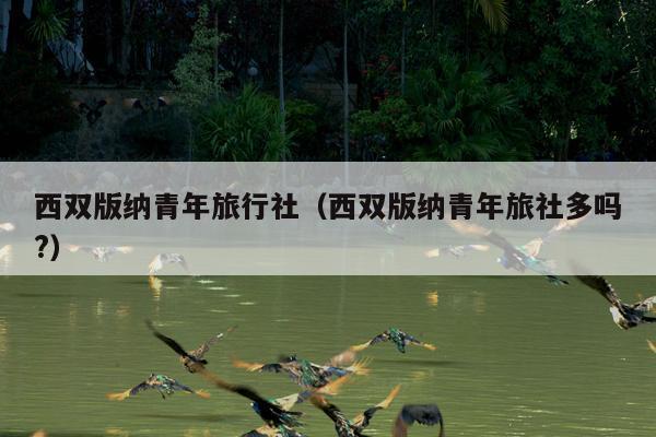 西双版纳青年旅行社（西双版纳青年旅社多吗?）