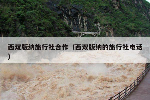 西双版纳旅行社合作（西双版纳的旅行社电话）