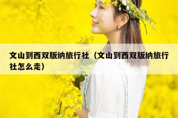 文山到西双版纳旅行社（文山到西双版纳旅行社怎么走）