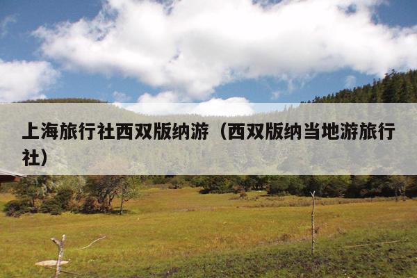 上海旅行社西双版纳游（西双版纳当地游旅行社）