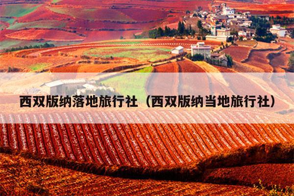 西双版纳落地旅行社（西双版纳当地旅行社）