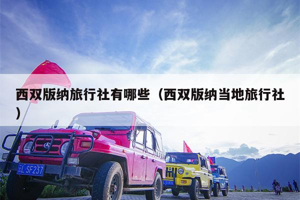 西双版纳旅行社有哪些（西双版纳当地旅行社）