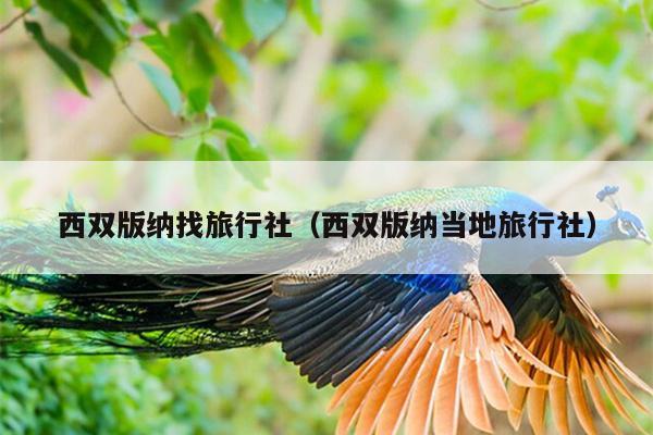 西双版纳找旅行社（西双版纳当地旅行社）