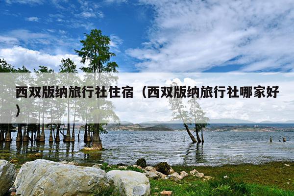 西双版纳旅行社住宿（西双版纳旅行社哪家好）