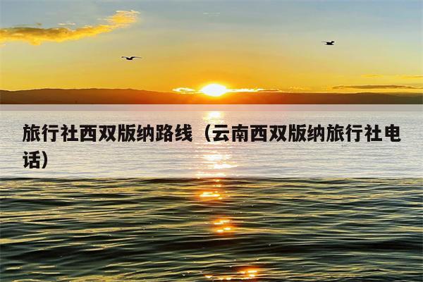 旅行社西双版纳路线（云南西双版纳旅行社电话）