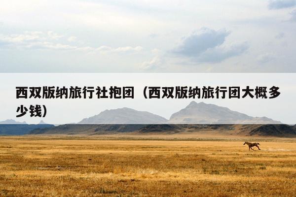 西双版纳旅行社抱团（西双版纳旅行团大概多少钱）