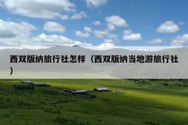 西双版纳旅行社怎样（西双版纳当地游旅行社）