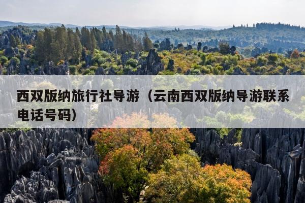 西双版纳旅行社导游（云南西双版纳导游联系电话号码）