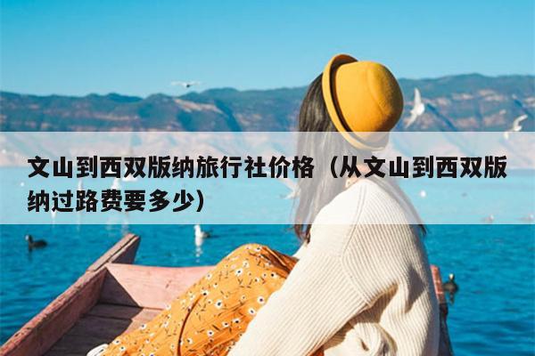文山到西双版纳旅行社价格（从文山到西双版纳过路费要多少）