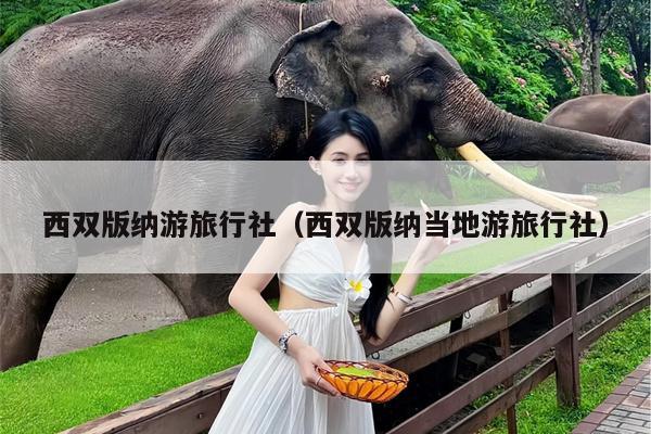 西双版纳游旅行社（西双版纳当地游旅行社）