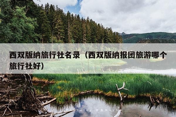 西双版纳旅行社名录（西双版纳报团旅游哪个旅行社好）