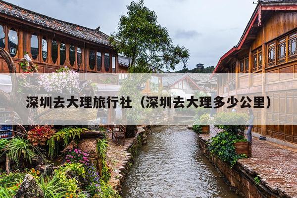 深圳去大理旅行社（深圳去大理多少公里）