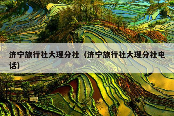 济宁旅行社大理分社（济宁旅行社大理分社电话）