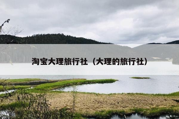 淘宝大理旅行社(大理的旅行社)