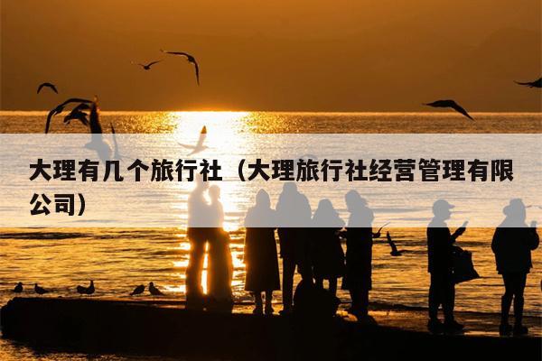 大理有几个旅行社（大理旅行社经营管理有限公司）