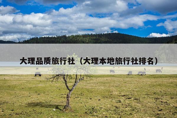 大理品质旅行社（大理本地旅行社排名）