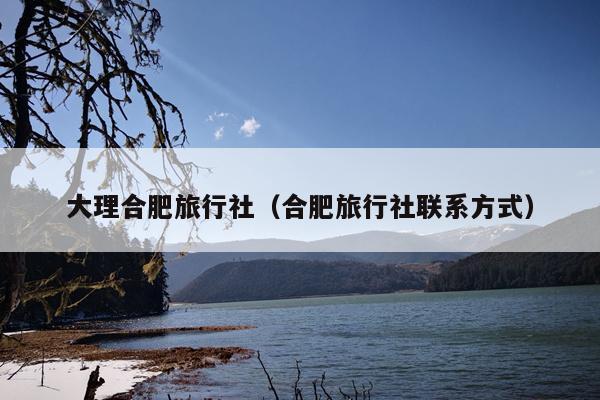 大理合肥旅行社（合肥旅行社联系方式）