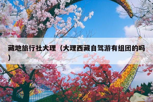 藏地旅行社大理（大理西藏自驾游有组团的吗）