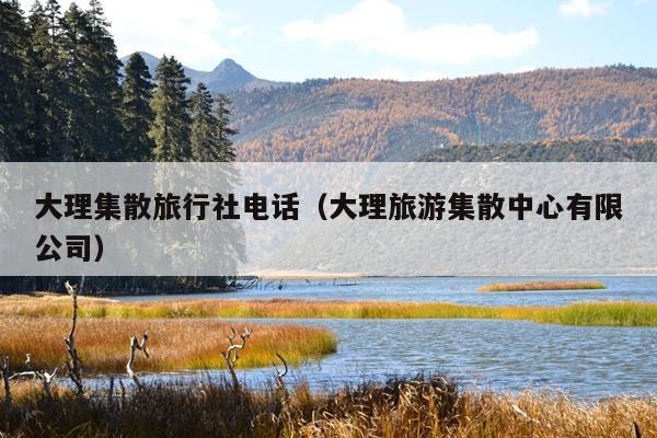 大理集散旅行社电话（大理旅游集散中心有限公司）