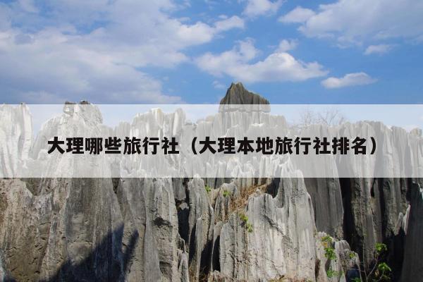 大理哪些旅行社（大理本地旅行社排名）