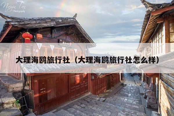大理海鸥旅行社（大理海鸥旅行社怎么样）