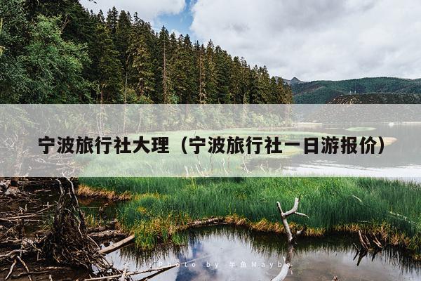 宁波旅行社大理（宁波旅行社一日游报价）